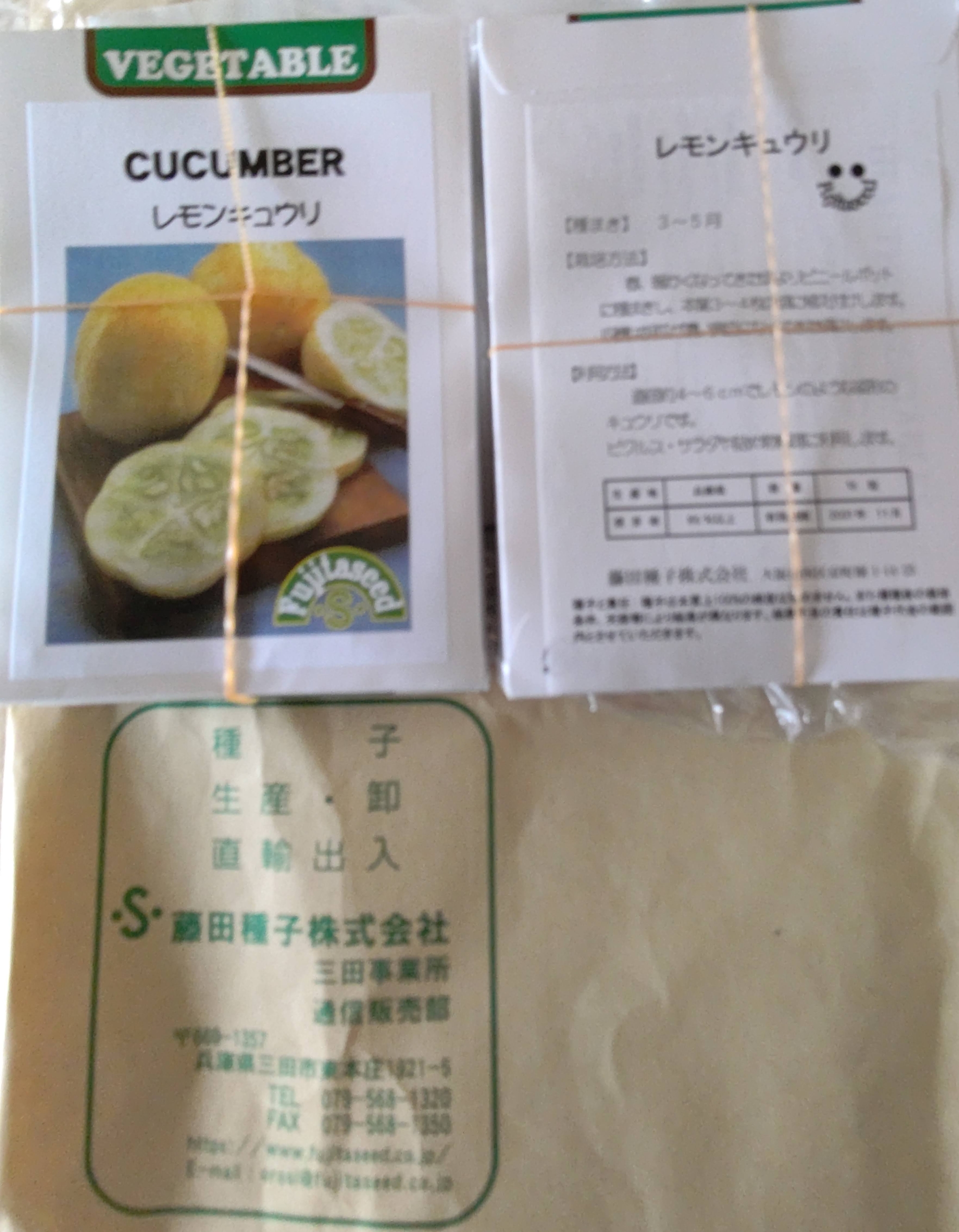 レモンキュウリの種が届きました-2021-05-11