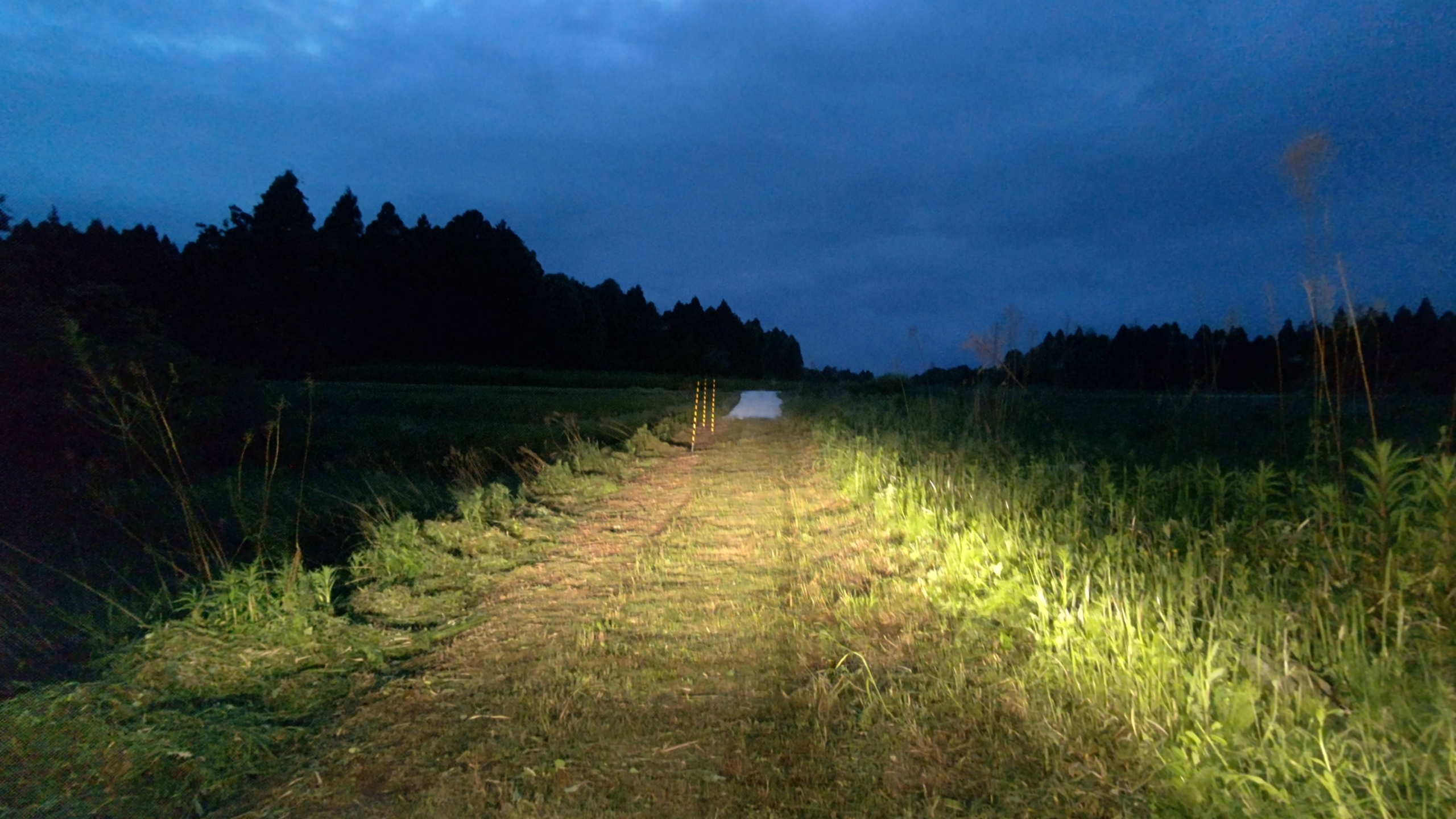 転落防止用の支柱を設置しました-2021-05-22