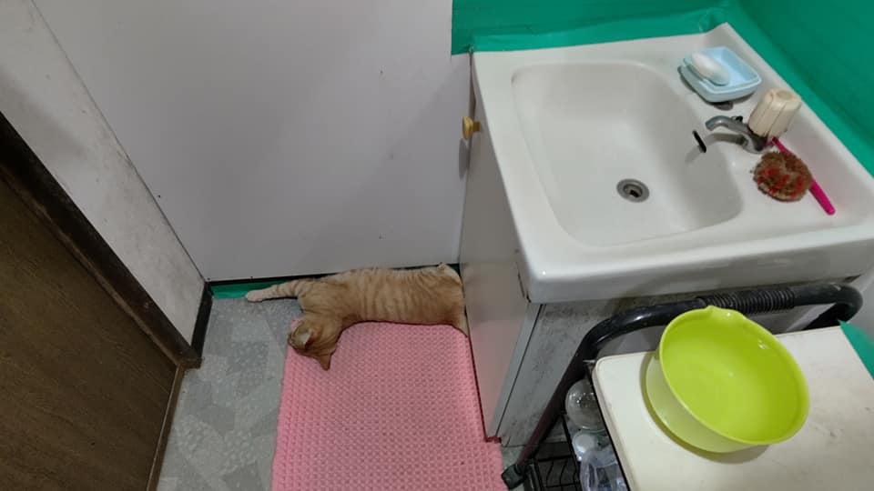 今日も暑い-2021-08-07