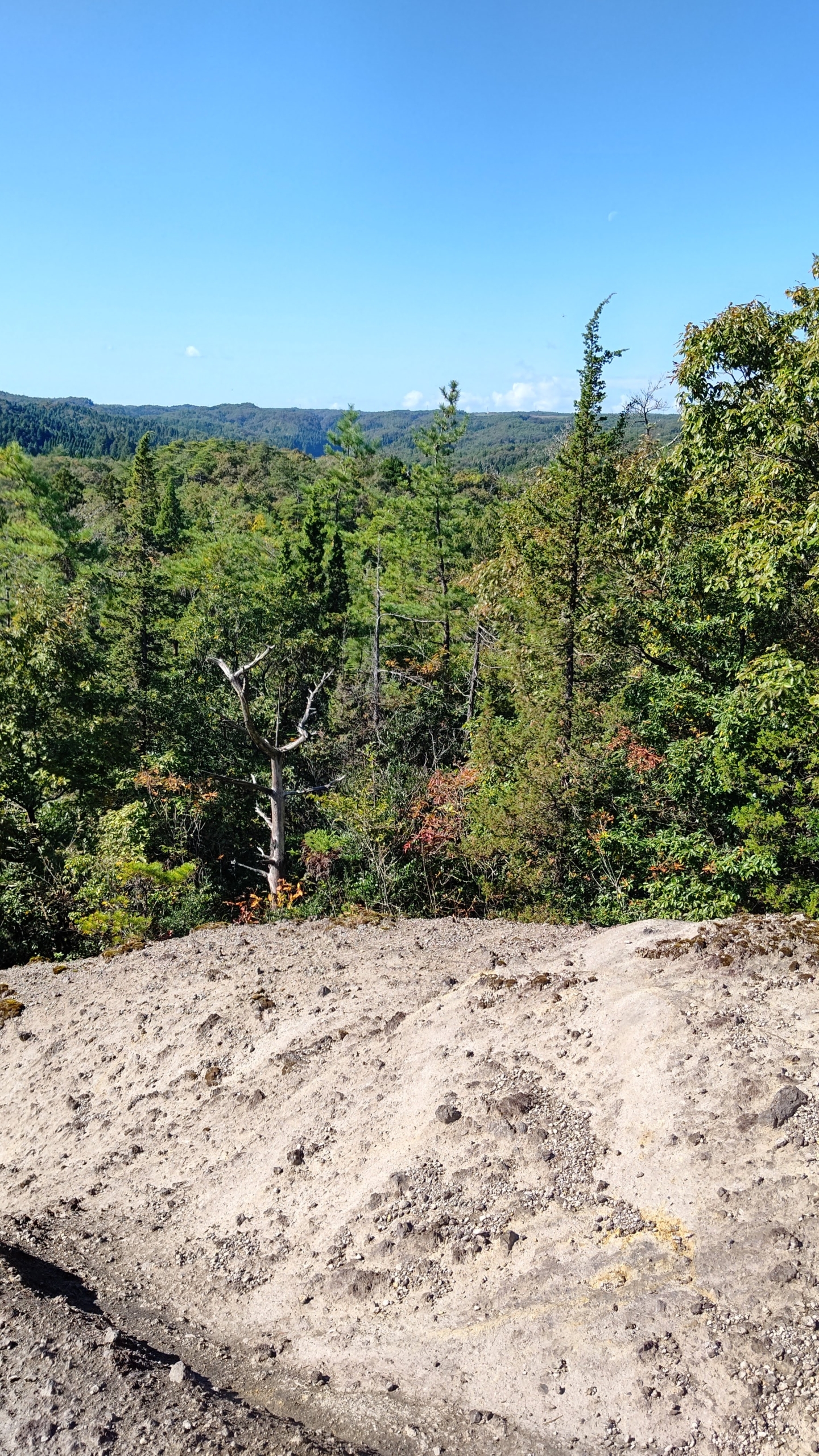 ここまで笹ヤブをかき分けて来るのが大変ですね-2021-10-28