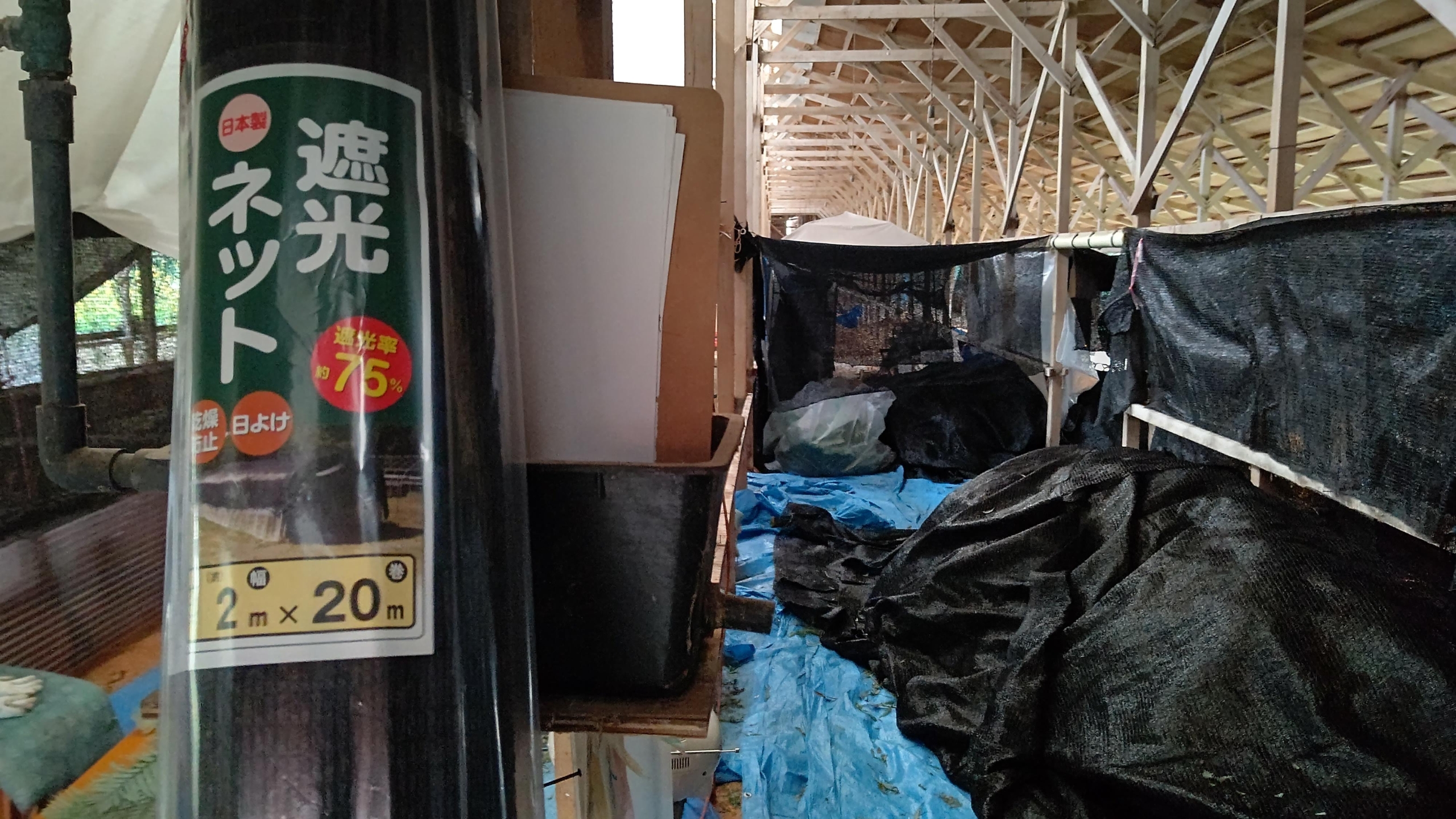 金沢の吉岡さんに引き取りに来てもらいました-2021-11-06