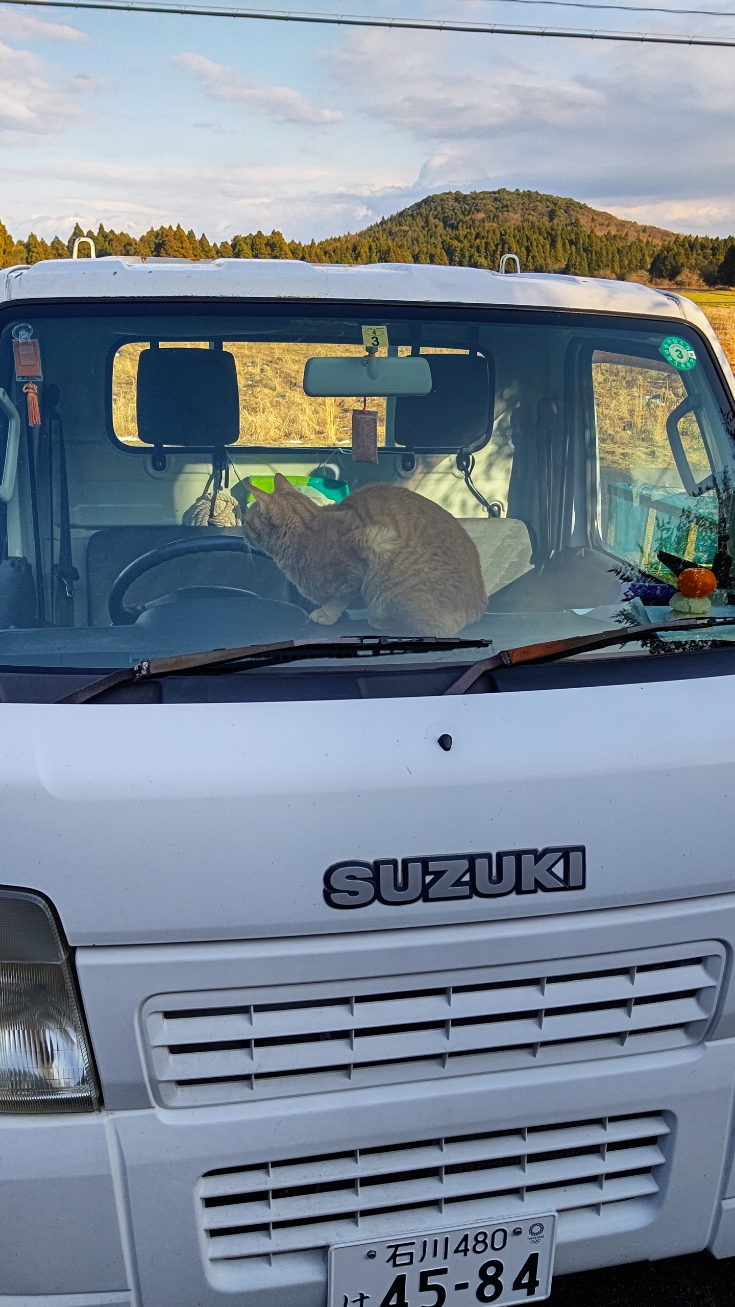 雪がすっかり溶けた-2022-01-03