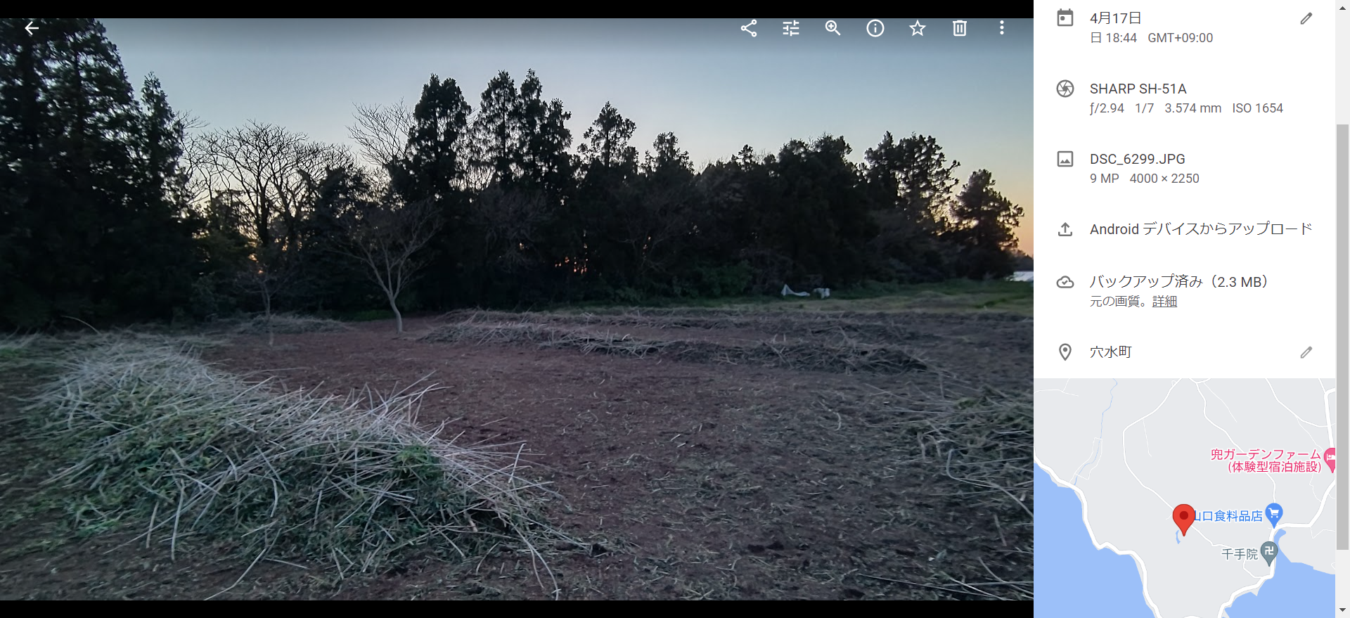 セイタカアワダチソウを積み上げて区画を作った-2022-04-18