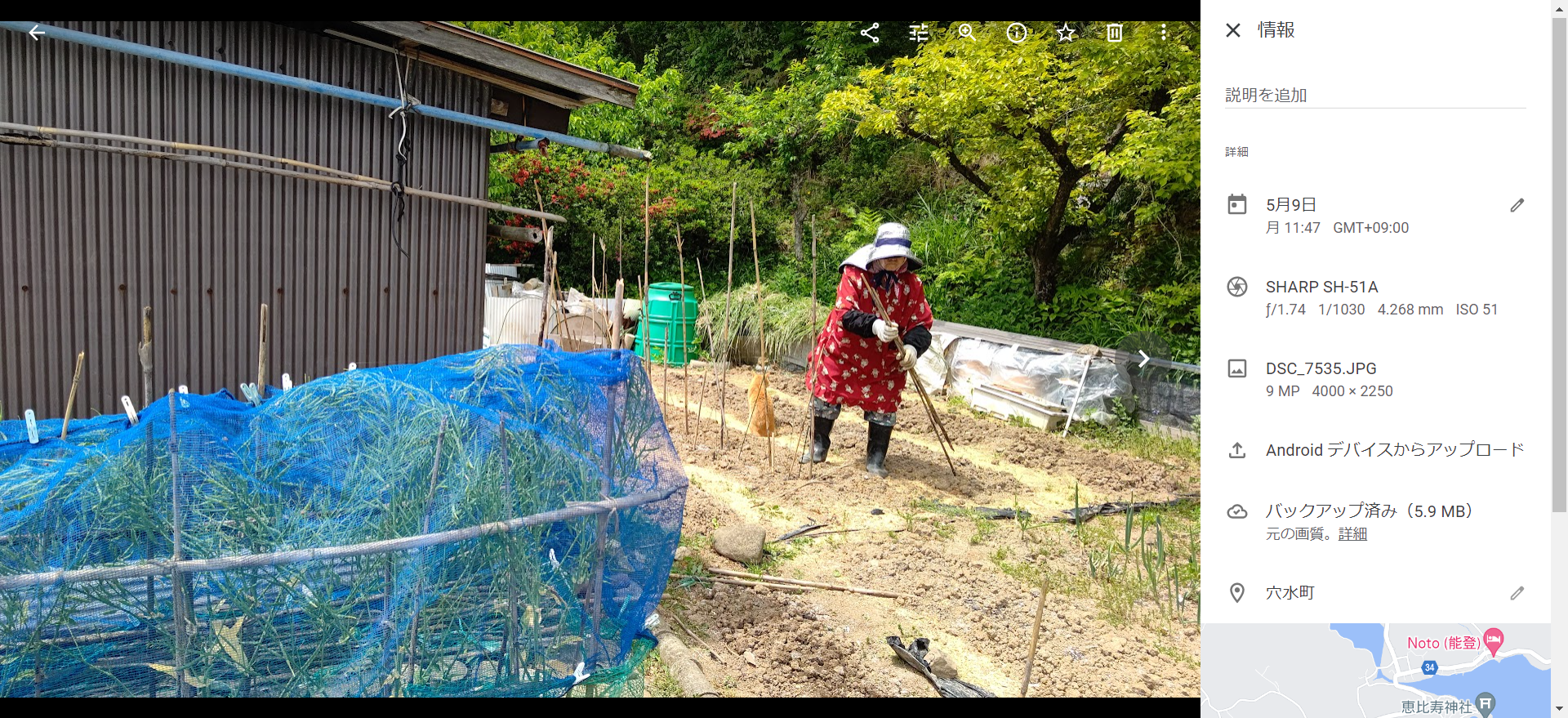 我が家の「猫の介護士」-2022-05-09