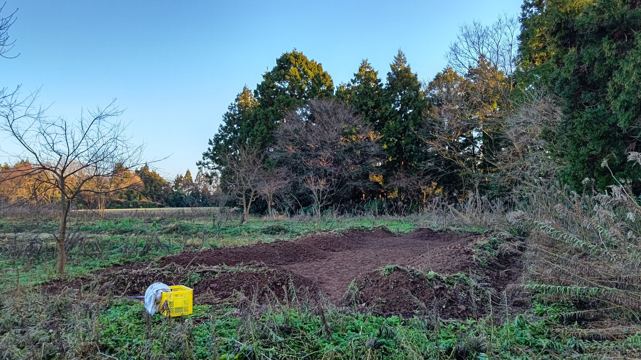 1月2日から始めて今日で開墾作業は終わりました-2023-01-11