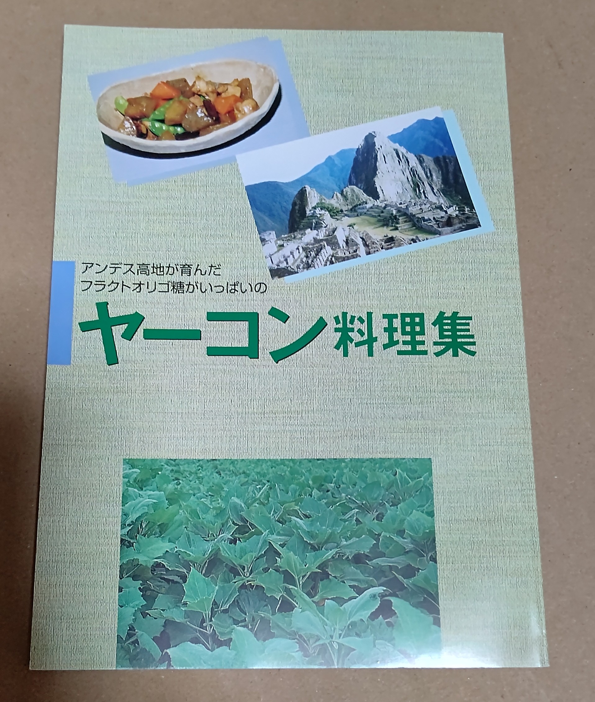 「ヤーコン料理集」を買いました-2023-01-16