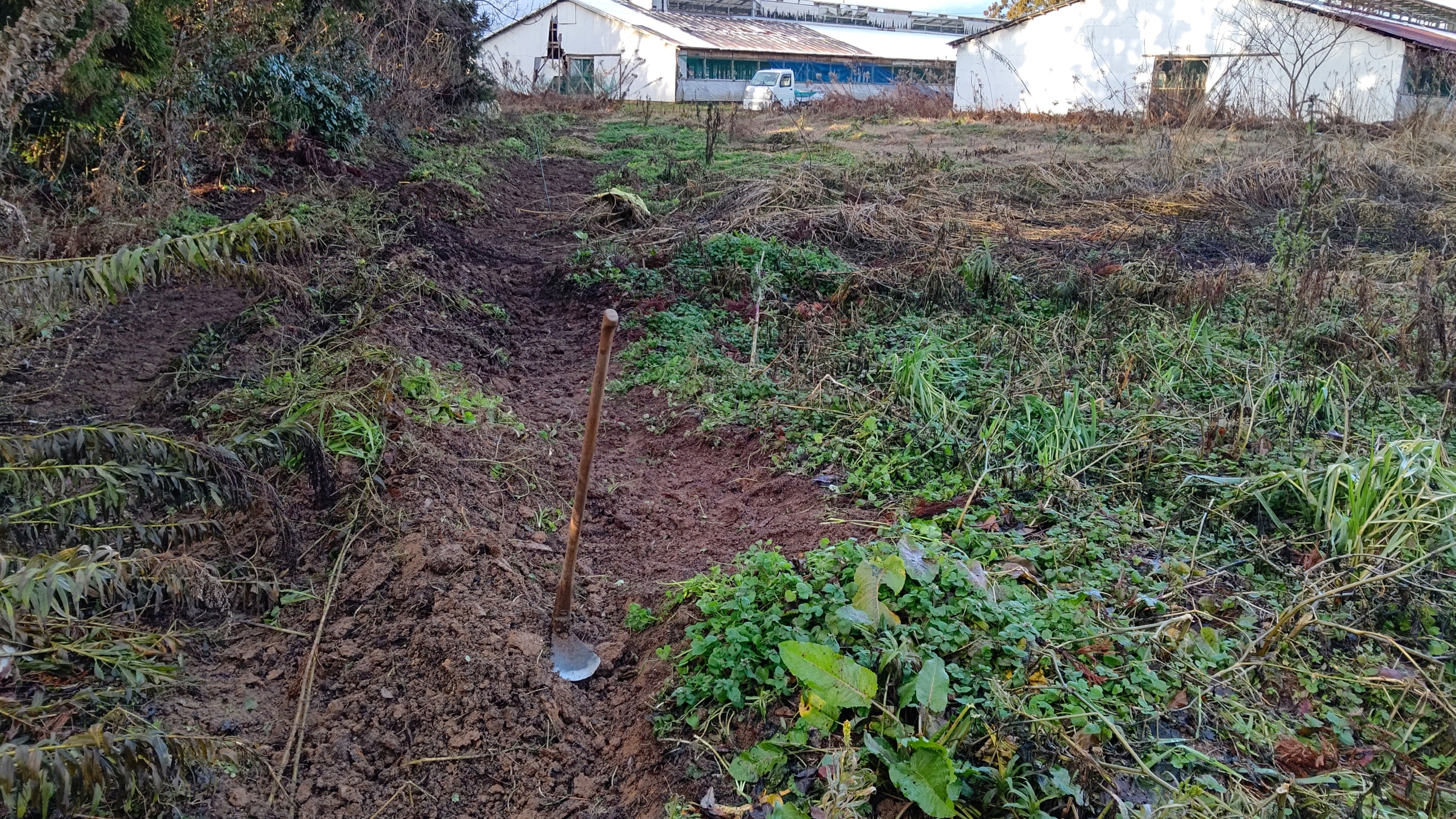 今日はひたすら作業通路を作ってる-2023-01-16