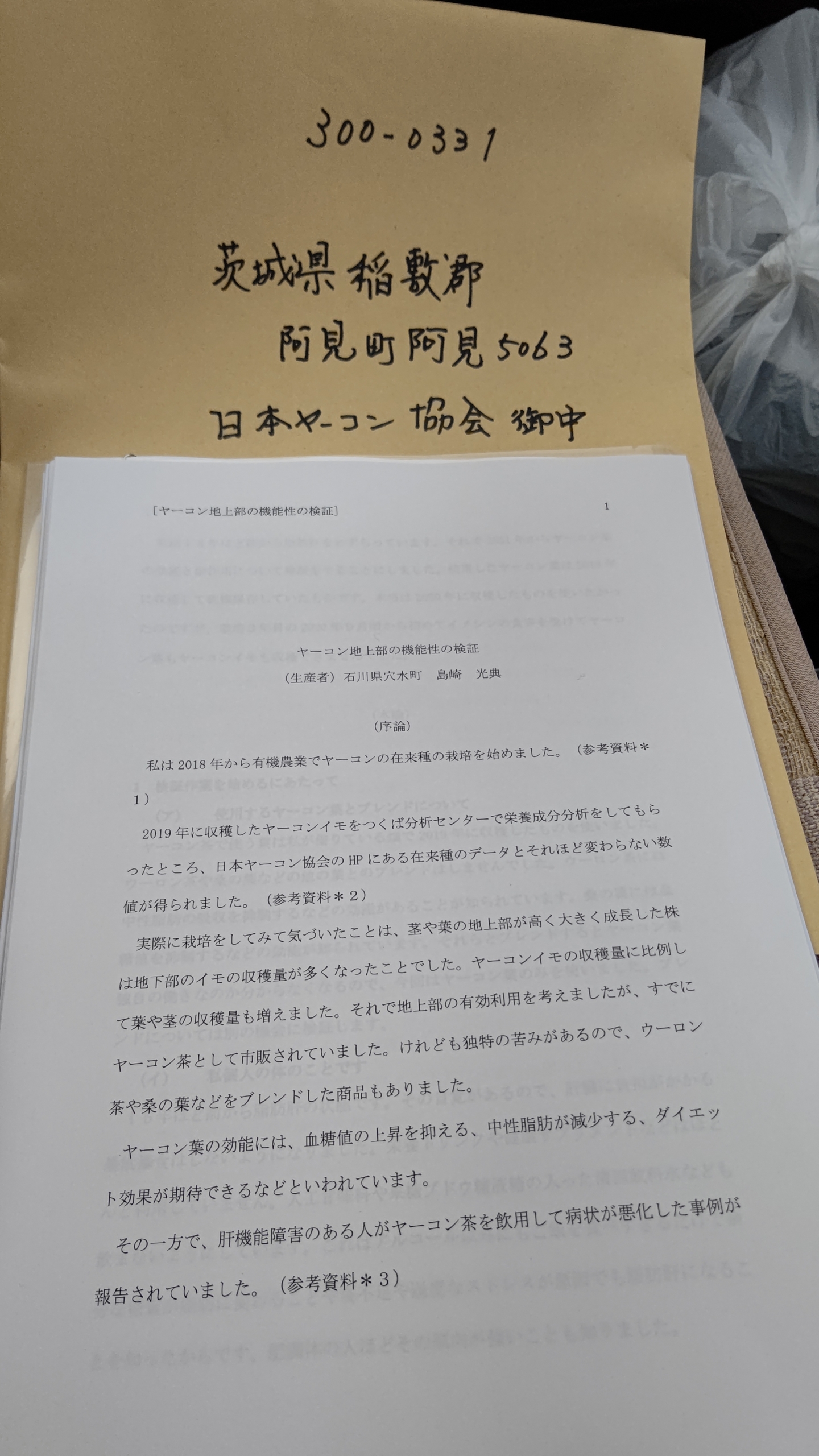 ヤーコン茶を飲用した体験レポートがやっと出来上がった-2023-01-29