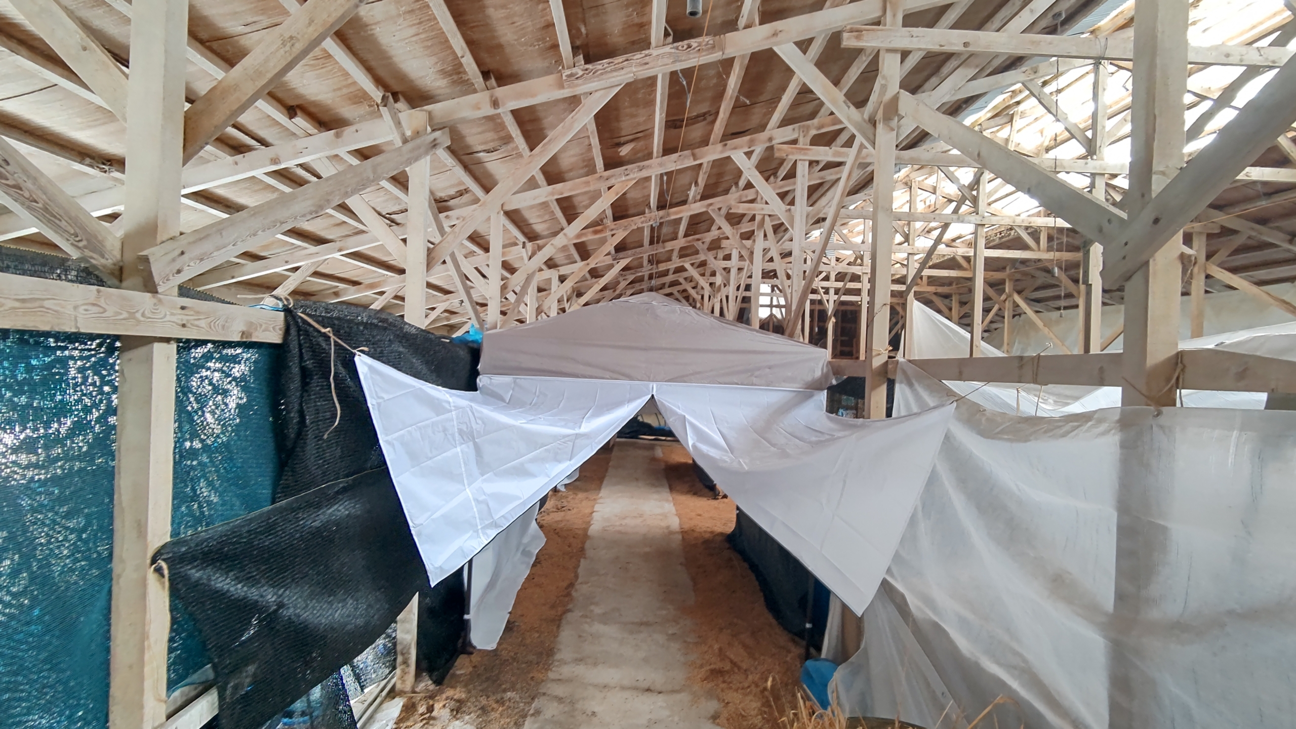 倉庫の中の掃除と雨雪避けにテントを張りました-2022-12-27