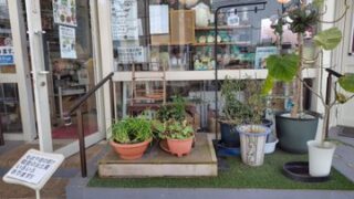 森本石油さんにニンニクの鉢植えを届けました-2025-04-19