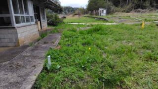 甲復興団さんの考えが分かったので、草刈りしました-2025-04-24