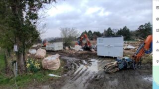 ツツジの再生を2年で無事にやれた-2025-05-11