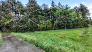 蛇（ヘビ）が苦手な方は閲覧注意です-2025-05-11