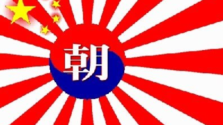 人から言われたことをうのみにするだけでは騙されるだけです-2025-05-11