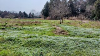 簡単なグランドデザインを作りました-2025-05-12