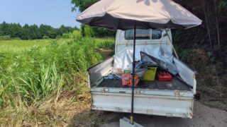 今日も暑い-2025-07-07