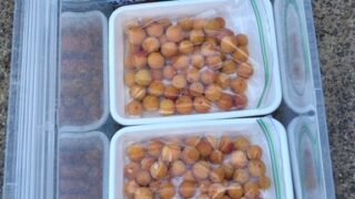 初めてジップロックを使って、梅干し作りをしてました-2025-07-13