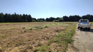 足の爪の状態が良くなったので草刈り再開しました-2025-07-30