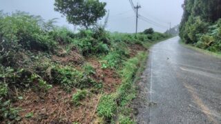 道路の法面（のりめん）をイノシシが荒らし始めました。数日前まではこうなっていなかったはず-2025-09-10