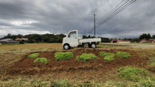 途中から雨になりましたが、イノシシに荒らされた法面（のりめん）の補修を終わらせました-2025-09-25
