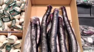 熊本産長ナス。1本200円-2025-01-21