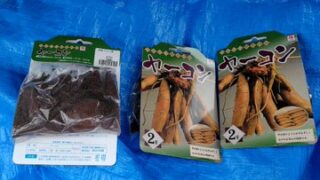 ヤーコン種イモを大阪の赤松種苗さんから購入しました-2025-03-05