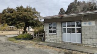 2年前に根元から切られたツツジです-2025-03-08