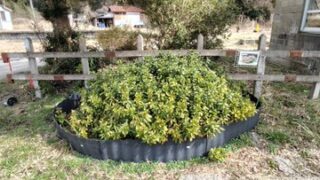 のと鉄道さんに甲駅の継続利用について話してきました-2025-03-11