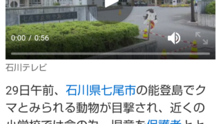 今年はクマが七尾市と能登島まで北上しています-2025-10-31