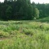 島崎 光典 - 鴨のつがいがいましたが驚かせたみたいです。堤防の石垣が能登半島地震で