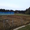 島崎 光典 - 埋め戻して今日は終わりです。手前の囲っている場所にはキクイモの種芋が