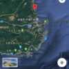島崎 光典 - 正月飾りに使うウラジロの採取を始めました。私だけ初心者なので他の人の