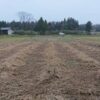 島崎 光典 - 24時間勤務明けですが、やることありすぎです。農家民宿の小栗さんの借り