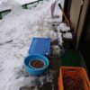 島崎 光典 - 大雪ですね。玄関先で水洗いして駅舎で自然乾燥させます。まだまだ大量生