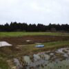 島崎 光典 - 2月22日の作業メモ。今朝は霜でした。通路の部分ともみ殻くん炭を作って