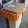 島崎 光典 - 昨日アピオスを出荷しましたが、3.0kgだけでした。ブツブツがついていた