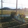 島崎 光典 - 今朝は晴天で日陰は朝9時頃でも地面は霜で覆われていて水田は薄氷がはっ