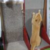 島崎 光典 - ねこの爪とぎグッズの組立てです。5kgと大きくなったので90cmの高さのも