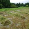 島崎 光典 - 8月30、31日に雨の中、刈草をうねの形に積み上げてました。次にこの上に