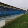 島崎 光典 - 冷たい雨で防風ネット張り作業が終わらなかった。
