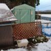 島崎 光典 - 13時半から16時半までかかって昨日洗ったアピオスの切り離し作業でした。