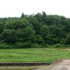 島崎 光典 - アピオスと匂いしょうぶが植えてある湿田の区画です。いのしし避けのつも