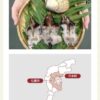島崎 光典 - 24時間明けです。雨がやっと止んだ。穴水町で「能登とり貝」という養殖し