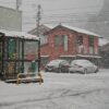 島崎 光典 - 今日は朝から湿った雪です。 収穫作物の洗浄で使う水道水を分析するサン