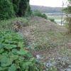 島崎 光典 - 草刈り終わった。刈った草も下に集めました。さてフキ、ワラビ、ミョウガ