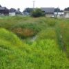 島崎 光典 - アジアGAP認証予定のほ場です。すっかり雑草に埋もれたけど、5年前に比べ