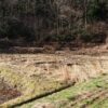 島崎 光典 - 午前中、北海道ワイン能登ヴィンヤードの吉村さんをアピオスを生産してい