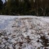 島崎 光典 - 夜勤明けですが、昨日から別の場所のアピオス畑の雪を取り除いてました。