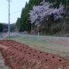 島崎 光典 - 午後3時30分から畝立てと植えつけを始めて18時30分までに52株終わらせた