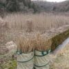 島崎 光典 - 雪がありません。昼からとなりの耕作放棄地から茅(かや)を集めて倉庫に立